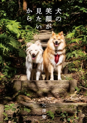 穴澤賢