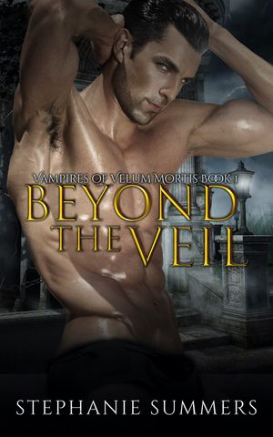 Beyond the Veil【電子書籍】[ Stephanie Summers ]