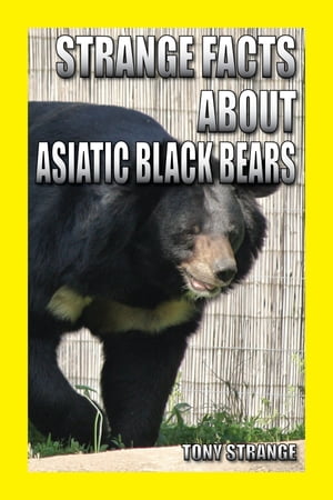 Strange Facts about Asiatic black bears