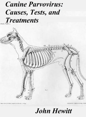 Canine Parvovirus: Causes, Tests and Treatments