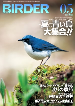 BIRDER2019年5月号