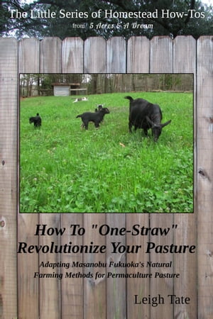 How To "One-Straw" Revolutionize Your Pasture: Adapting Masanobu Fukuoka's Natural Farming Methods for Permaculture Pasture