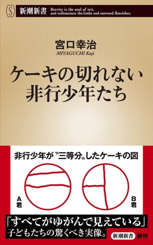 ケーキの切れない非行少年たち（新潮新書）[ 宮口幸治