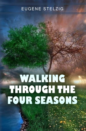 Walking Through The Four Seasons