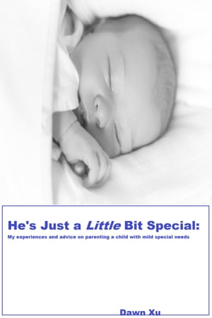 He's Just a Little Bit Special: My experiences and advice on parenting a child with mild special needs