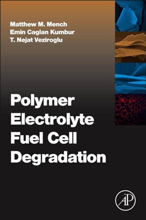 Polymer Electrolyte Fuel Cell Degradation