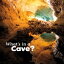 What's in a Cave?Żҽҡ[ Martha E. H. Rustad ]