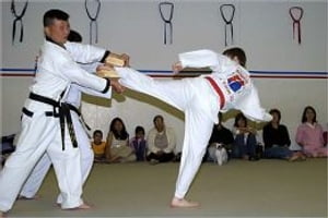 Martial Arts for Beginners