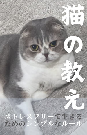 猫の教え