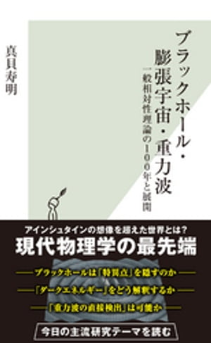 ブラックホール・膨張宇宙・重力波〜一般相対性理論の100年と展開〜