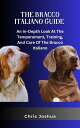 THE BRACCO ITALIANO GUIDE An In-Depth Look At The Temperament, Training, And Car...