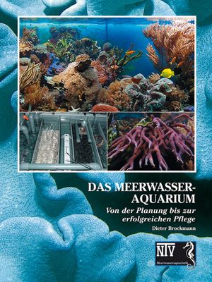 Das Meerwasseraquarium Von der Planung bis zur erfolgreichen Pflege