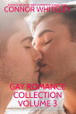 Gay Romance Collection Volume 3 3 Sweet Gay Contemporary Romance Novellas
