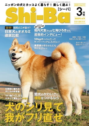 Shi-Ba 2020年3月号　Vol.111