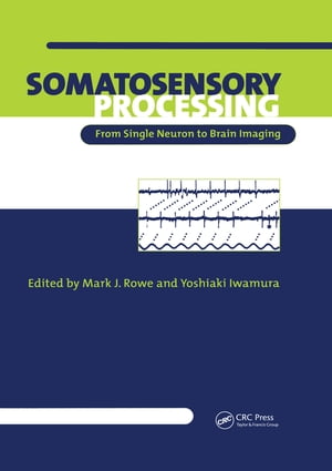 Somatosensory Processing From Single Neuron to Brain Imaging