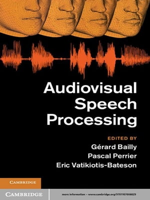 Audiovisual Speech Processing