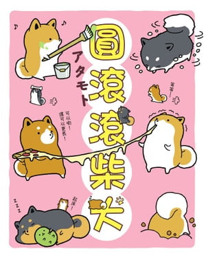 圓滾滾柴犬