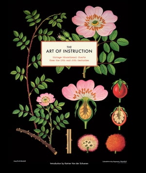 The Art of Instruction