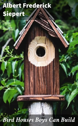 Bird Houses Boys Can Build