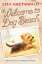 Welcome to Dog Beach (The Seagate Summers #1)Żҽҡ[ Lisa Greenwald ]