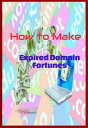 How to Make Expired Domain Fortunes【電子書