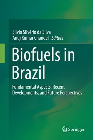 Biofuels in Brazil