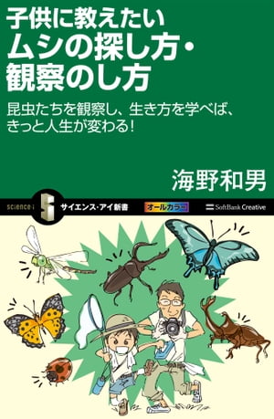 子供に教えたいムシの探し方・観察のし方