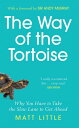 The Way of the Tortoise Why You Have to Take the Slow Lane to Get Ahead (with a foreword by Sir Andy Murray)【電子書籍】 Matt Little