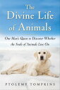 ŷKoboŻҽҥȥ㤨The Divine Life of Animals One Man's Quest to Discover Whether the Souls of Animals Live OnŻҽҡ[ Ptolemy Tompkins ]פβǤʤ623ߤˤʤޤ