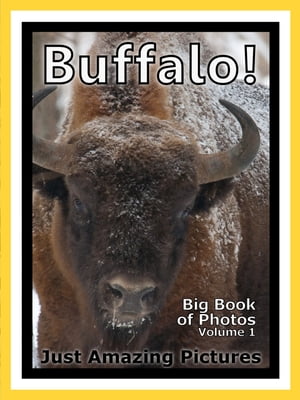 Just Buffalo Photos! Big Book of Photographs & Pictures of Buffalo and Bison, Vol. 1