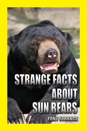 Strange Facts about Sun Bears