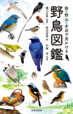 街・野山・水辺で見かける 野鳥図鑑【電子書籍】[ 樋口広芳 ]