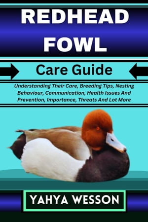 REDHEAD FOWL Care Guide Understanding Their Care, Breeding Tips, Nesting Behaviour, Communication, Health Issues And Prevention, Importance, Threats And Lot More