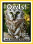 Just Owl Photos! Big Book of Photographs & Pictures of Owls, Vol. 1