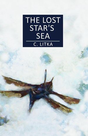 The Lost Star's Sea