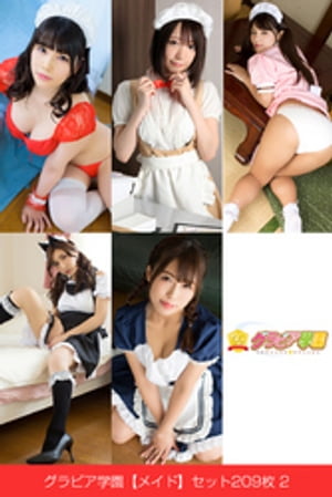 ӥرڥᥤɡۥå209 2Żҽҡ[ ӥر ]