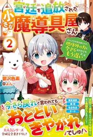 宮廷を追放された小さな魔導具屋さん2～のんびりお店を開くので、規格外の力と今さら言われてももう遅い～