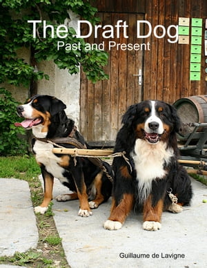 The Draft Dog - Past and PresentŻҽҡ[ Guillaume de Lavigne ]