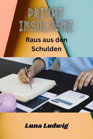 Privat Insolvenz Raus aus den Schulden Hilfe & Ablauf der Privatinsolvenz