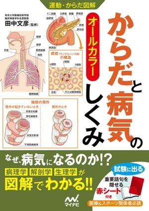 運動・からだ図解 からだと病気のしくみ