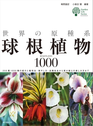 世界の原種系球根植物1000