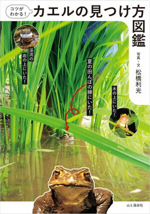 松橋 利光