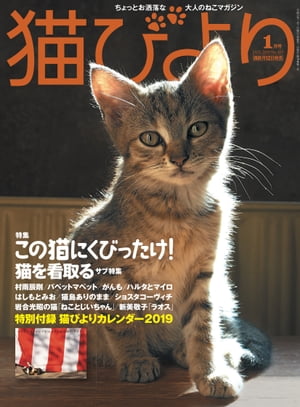 猫びより2019年1月号　Vol.103【電子書籍】[ 猫びより編集部 ]