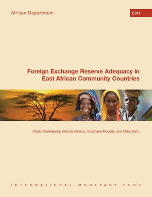 Foreign Exchange Reserve Adequacy in East African Community Countries
