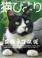 猫びより2021年7月号　Vol.118