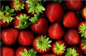 A Crash Course on How to Grow Strawberries