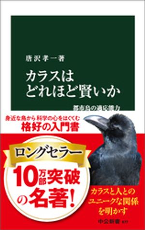 唐沢孝一
