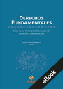 Derechos fundamentales Actas de las V Jornadas Nacionales de Derechos Fundamentales【電子書籍】 C sar Landa