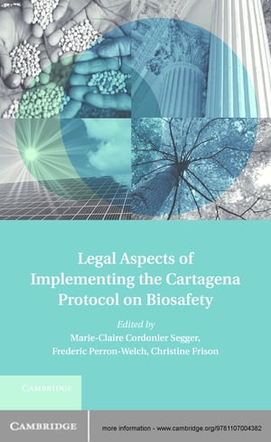 Legal Aspects of Implementing the Cartagena Protocol on Biosafety