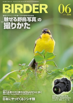 BIRDER2017年6月号